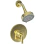 Newport Brass Miro Single Handle Pressure Balanced Shower Trim Only with Metal Lever Handle less Valve Forever Brass (PVD)