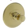 Newport Brass Ithaca Thermostatic Valve Trim Only with 1 Lever Handles - Less Rough In Polished Brass Uncoated (Living)