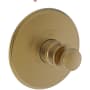 Newport Brass Ithaca Thermostatic Valve Trim Only with 1 Lever Handles - Less Rough In Satin Bronze (PVD)