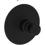 Newport Brass Ithaca Thermostatic Valve Trim Only with 1 Lever Handles - Less Rough In Flat Black