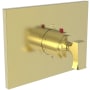 Newport Brass Joffrey Thermostatic Valve Trim Only with 1 Lever Handles - Less Rough In Forever Brass (PVD)