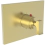 Newport Brass Joffrey Thermostatic Valve Trim Only with 1 Lever Handles - Less Rough In Satin Brass (PVD)