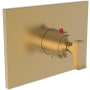 Newport Brass Joffrey Thermostatic Valve Trim Only with 1 Lever Handles - Less Rough In Satin Bronze (PVD)