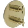 Newport Brass Tolmin Thermostatic Valve Trim Only with 2 Lever Handles - Less Rough In Polished Brass Uncoated (Living)