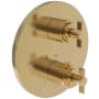 Newport Brass Tolmin Thermostatic Valve Trim Only with 2 Lever Handles - Less Rough In Polished Gold (PVD)