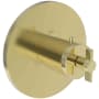 Newport Brass Tolmin Thermostatic Valve Trim Only with 1 Cross Handles - Less Rough In Forever Brass (PVD)