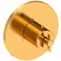 Newport Brass Tolmin Thermostatic Valve Trim Only with 1 Cross Handles - Less Rough In Aged Brass