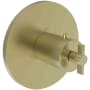 Newport Brass Tolmin Thermostatic Valve Trim Only with 1 Cross Handles - Less Rough In Satin Brass (PVD)