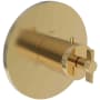 Newport Brass Tolmin Thermostatic Valve Trim Only with 1 Cross Handles - Less Rough In Polished Gold (PVD)