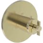Newport Brass Tolmin Thermostatic Valve Trim Only with 1 Cross Handles - Less Rough In French Gold (PVD)