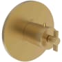 Newport Brass Tolmin Thermostatic Valve Trim Only with 1 Cross Handles - Less Rough In Satin Gold (PVD)