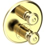 Polished Brass Uncoated (Living)
