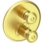 Satin Brass (PVD)