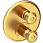 Satin Gold (PVD)