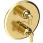 Newport Brass Astor Thermostatic Valve Trim Only with 2 Lever Handles - Less Rough In Forever Brass (PVD)