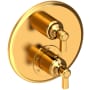 Newport Brass Astor Thermostatic Valve Trim Only with 2 Lever Handles - Less Rough In Aged Brass