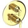 Newport Brass Astor Thermostatic Valve Trim Only with 2 Lever Handles - Less Rough In Polished Brass Uncoated (Living)