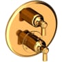 Newport Brass Astor Thermostatic Valve Trim Only with 2 Lever Handles - Less Rough In Polished Gold (PVD)