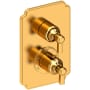 Newport Brass Astor Thermostatic Valve Trim Only with 2 Lever Handles - Less Rough In Aged Brass