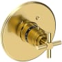 Newport Brass East Linear Thermostatic Valve Trim Only with 1 Cross Handles - Less Rough In Forever Brass (PVD)