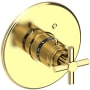 Newport Brass East Linear Thermostatic Valve Trim Only with 1 Cross Handles - Less Rough In Polished Brass Uncoated (Living)