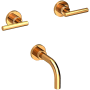 Polished Gold (PVD)