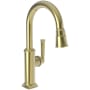 Newport Brass Zemora 1.8 GPM Single Hole Pull Down Bar / Prep Faucet Uncoated Polished Brass - Living