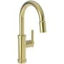 Newport Brass Seager 1.8 GPM Single Hole Pull Down Bar / Prep Faucet Forever Brass - PVD