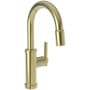 Newport Brass Seager 1.8 GPM Single Hole Pull Down Bar / Prep Faucet Uncoated Polished Brass - Living