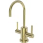 Newport Brass Seager 1.5 GPM Hot and Cold Water Dispenser Polished Brass Uncoated (Living)