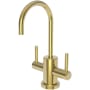 Newport Brass Seager 1.5 GPM Hot and Cold Water Dispenser Polished Gold (PVD)