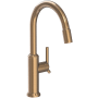 Newport Brass Jeter 1.8 GPM Single Hole Pull Down Kitchen Faucet Antique Brass
