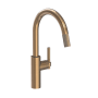 Newport Brass Muncy 1.8 GPM Single Hole Pull Down Kitchen Faucet Antique Brass