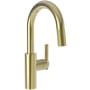 Newport Brass Muncy 1.8 GPM Single Hole Pull Down Bar / Prep Faucet Uncoated Polished Brass - Living