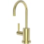 Newport Brass Muncy 1.5 GPM Hot Water Dispenser Forever Brass (PVD)