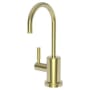 Newport Brass Muncy 1.5 GPM Hot Water Dispenser Uncoated Polished Brass - Living