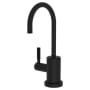 Newport Brass Muncy 1.5 GPM Hot Water Dispenser Flat Black