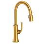 Newport Brass Stripling 1.8 GPM Single Hole Pull Down Kitchen Faucet Aged Brass