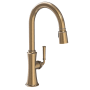Newport Brass Stripling 1.8 GPM Single Hole Pull Down Kitchen Faucet Antique Brass