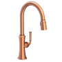 Newport Brass Stripling 1.8 GPM Single Hole Pull Down Kitchen Faucet Antique Copper