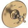 Newport Brass Victoria Collection Single Handle Round Pressure Balanced Shower Trim Plate Only with Metal Cross Handle Antique Brass