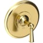 Newport Brass Single Handle Shower Valve Trim with Metal Lever Handle Less Shower Head for the Aylesbury and Jacobean Collections Forever Brass (PVD)
