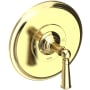 Newport Brass Single Handle Shower Valve Trim with Metal Lever Handle Less Shower Head for the Aylesbury and Jacobean Collections Polished Brass Uncoated (Living)