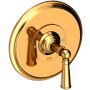 Newport Brass Single Handle Shower Valve Trim with Metal Lever Handle Less Shower Head for the Aylesbury and Jacobean Collections Polished Gold (PVD)