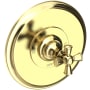 Newport Brass Single Handle Shower Valve Trim with Metal Cross Handle Less Shower Head from the Sutton Collection Polished Brass Uncoated (Living)