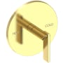 Newport Brass Priya Shower Trim Only Pressure Balanced with Metal Lever Handle Polished Brass Uncoated (Living)