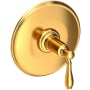 Newport Brass Ithaca Single Handle Balanced Pressure Trim Only with Metal Lever Handle Aged Brass
