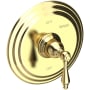 Newport Brass Seaport Single Handle Pressure Balanced Shower Trim Only with Metal Lever Handle less Valve and Shower Head Polished Brass Uncoated (Living)