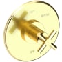 Newport Brass East Linear Collection Single Handle Round Pressure Balanced Shower Trim Plate Only with Metal Cross Handle Forever Brass (PVD)