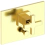 Forever Brass (PVD)